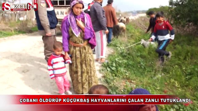 Çobanı öldürüp küçükbaş hayvanlarını çaldı