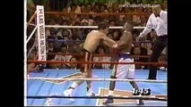 Julio Cesar Chavez KNOCKS out shocking Meldrick Taylor