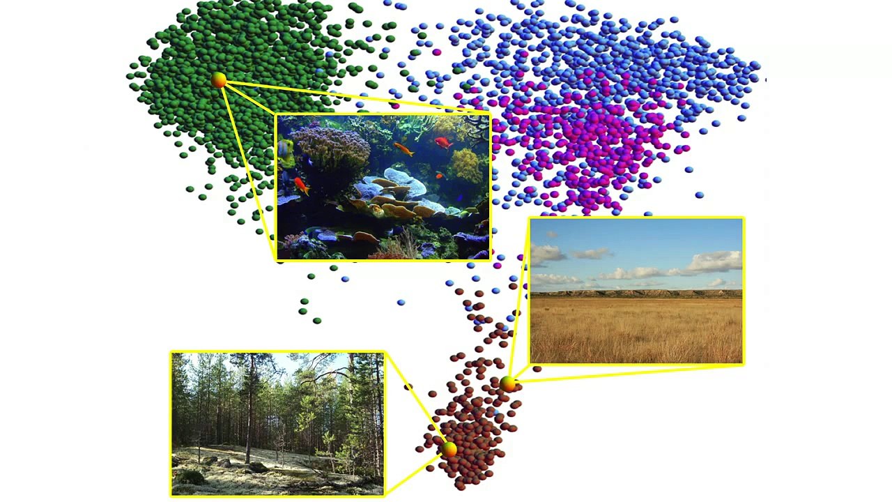 Rob Knight - How our microbes make us who we are.