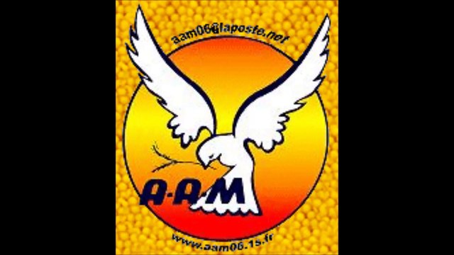 Align Trex450 pro / Ludo 3D / Ailes d'azur Mandelieu.