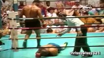 Mike Tyson Knockout Highlights