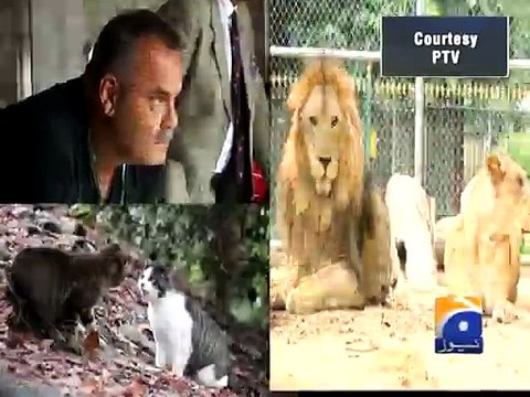 Zimbabwe Coach Dav Whatmore dangerous for Pakistan-01 Mar 2015