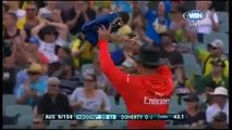 Spectator takes a one handed catch