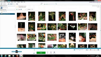 Tuto - Picasa 3 - Présentation rapide