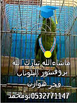 VID-20141004-WA0007.mp4