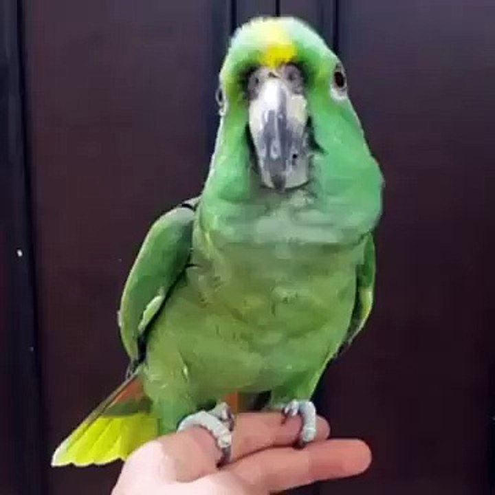 Khuda ki Qudrat