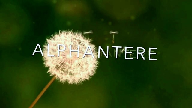 Barış Manço - Dubblaj - Arkadaşım eşşek