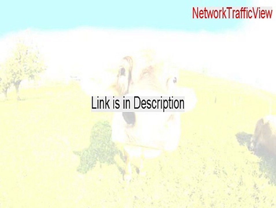 NetworkTrafficView Key Gen - Download Here