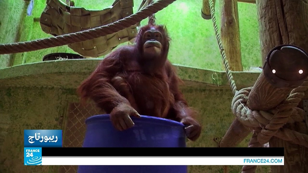 حديقة حيوانات تعتمد على التفاعل مع الحيوانات للحفاظ على حياتها