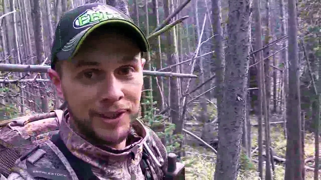 Bowhunting Double Kill Coyotes