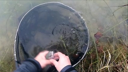Pêche à la Mouche au reservoir de Latournerie