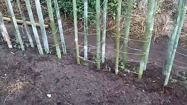Permaculture et jardin bio-intensif