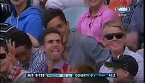 Spectator takes a one handed catch