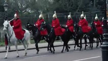 Un homme nu s'évade du Buckingham Palace - Vidéo Dailymotions