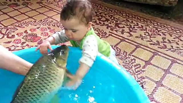 funny animals fish kiss a little boy حيوانات طريفة سمكة تقبل طفل صغير لا تخرج حتي تقول سبحان الله و تنشر