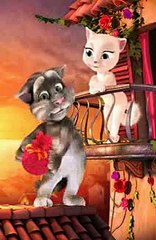 Funny Angry Cat vedio - must watch