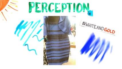 What Colour Is This Dress_ (SOLVED with SCIENCE)