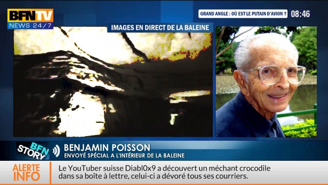 Malaysia Airlines - l'avion retrouvé