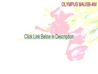 OLYMPUS MAUSB-4W (USB) Full [OLYMPUS MAUSB-4W olympus mausb-4w]