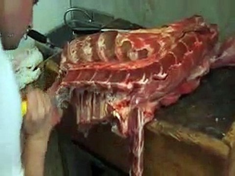 ETC... BUTCHERING A FORECUARTER BEEF (PART2 OF 2)