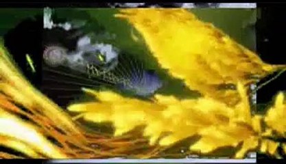 Undisclosed Desires(Vo7Co7)