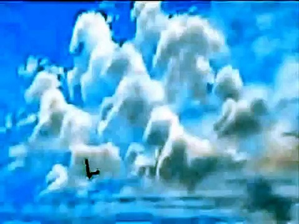 Wild is the wind