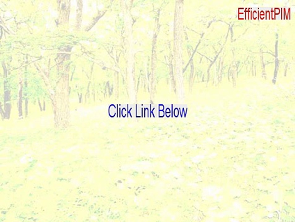 EfficientPIM Keygen (Free Download 2015)