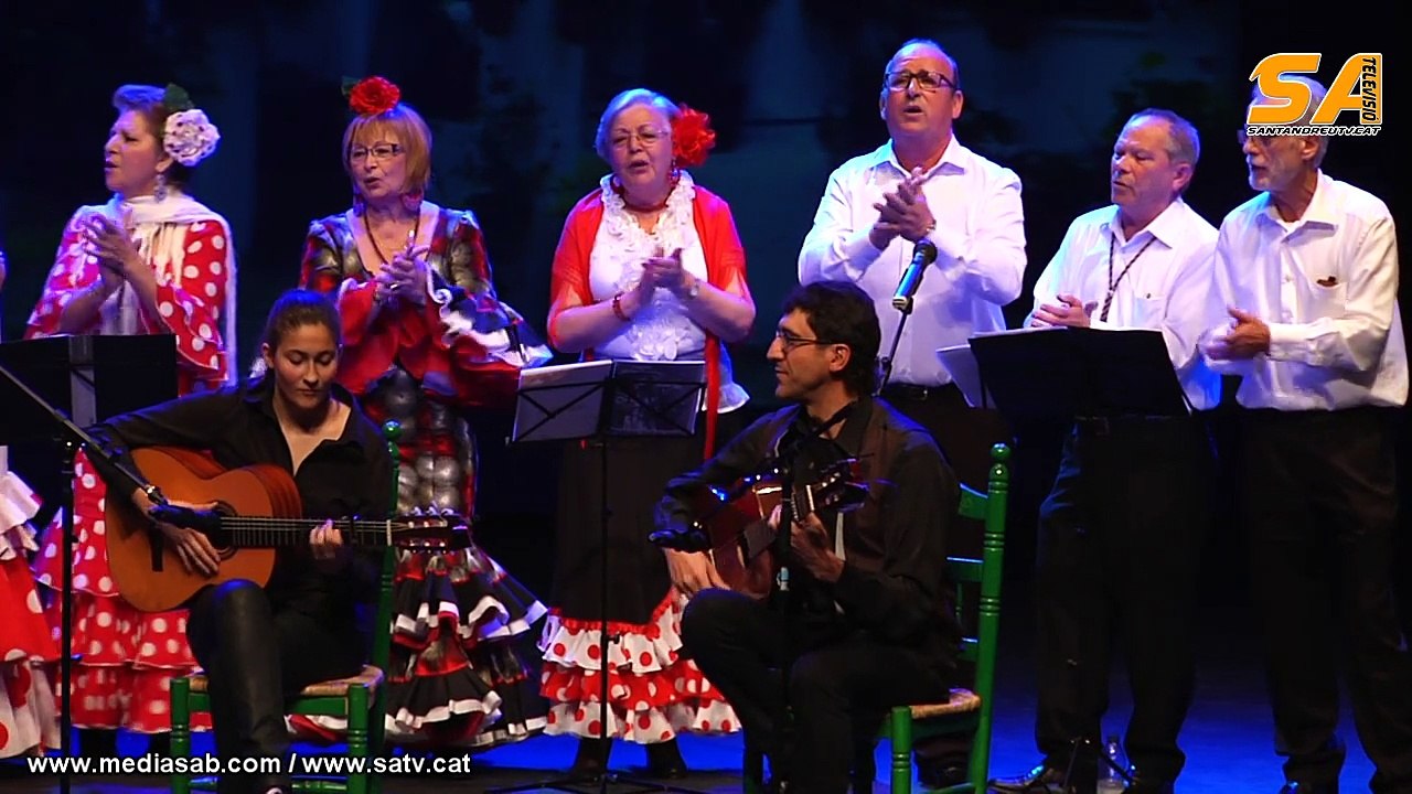 280215 celebracio dia andalusia