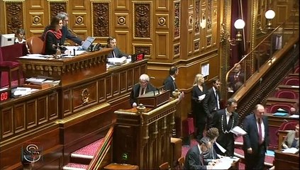 Projet de Loi de Finances pour 2015 Rapport de la com des lois pour avis