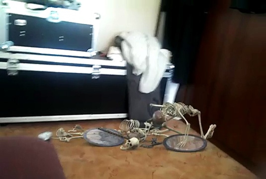 FxGuru_20150227_130626.mp4