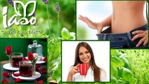 Iaso Tea Ingredients & Benefits (Total Life Changes, MLM, 50% Commission)