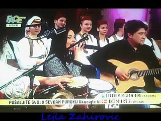 Lejla Zahirovic-MIX: Music and Art Fusion