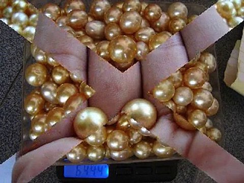 pearls wholesale whatsapp +6287865026222 Miss Joaquim Pearls Lombok Indonesia