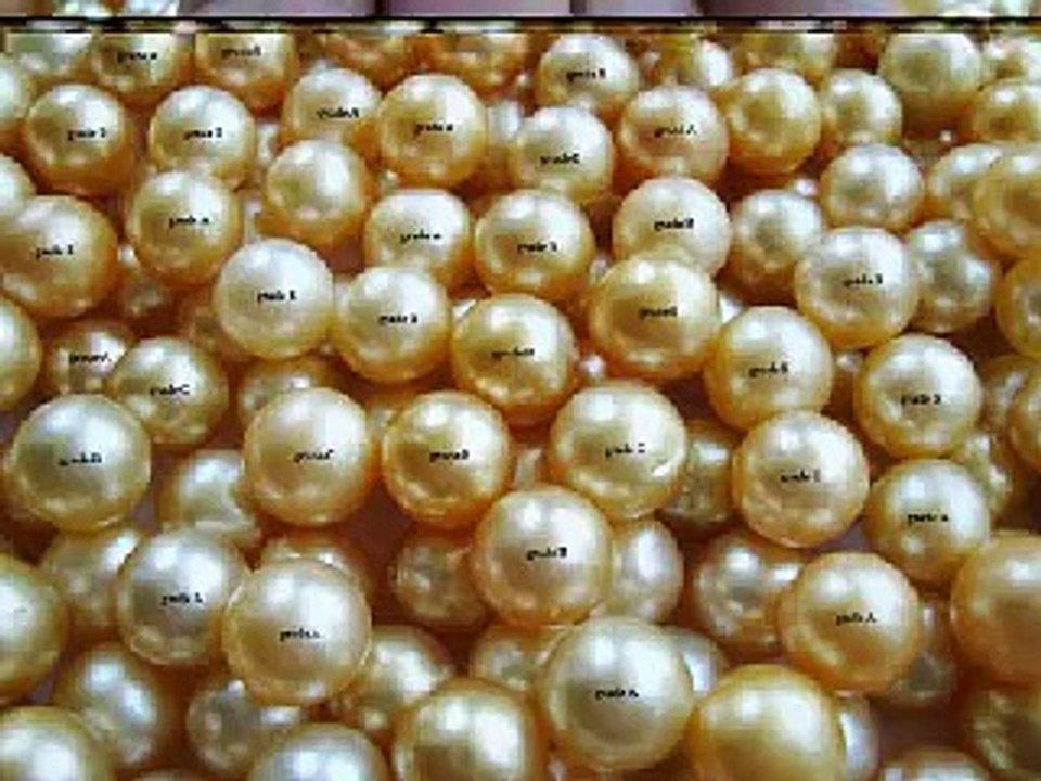 loose pearls wholesale whatsapp +6287865026222 Miss Joaquim Pearls Lombok Indonesia