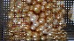 golden south sea pearls wholesale whatsapp +6287865026222 Miss Joaquim Pearls Lombok Indonesia