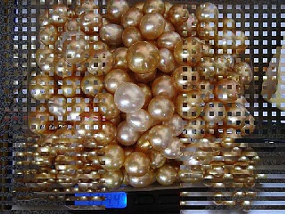 golden south sea pearls wholesale whatsapp +6287865026222 Miss Joaquim Pearls Lombok Indonesia