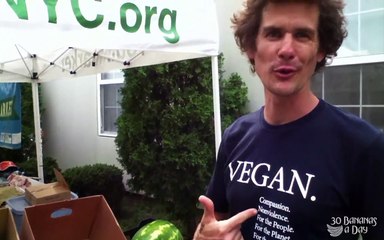 Why Did The Low Carb Diet Give Tim Noakes Diabetes?