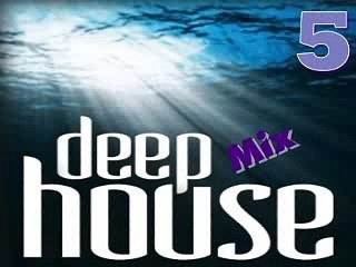 Deep House Zone Vol.5