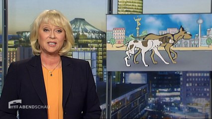 Abendschau-Serie Pro & Contra Hundestadt Berlin | Abendschau vom 1. März 2015