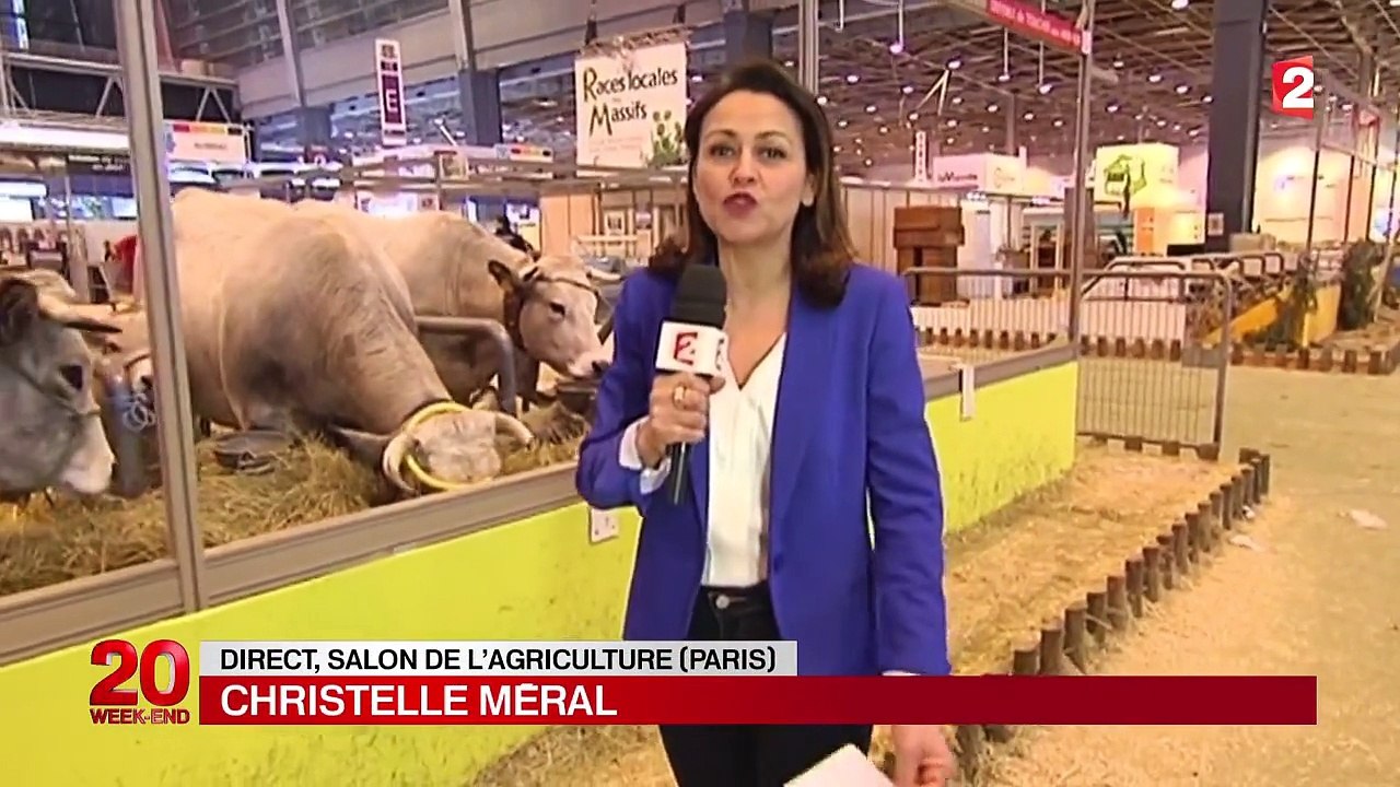Salon de l'agriculture : moins de visiteurs que l'année dernière