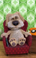 الكلب المحاور بين يأكل ضربا مبرحا اضحك عليه صباحي