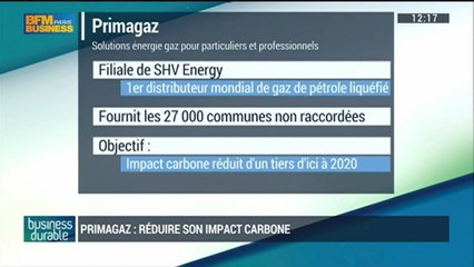 Primagaz s'engage a réduire d'un tiers son impact carbone d'ici 2020: Walter Delage (2/5) - 01/03