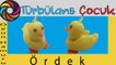 Oyun Hamuru ile Ördek Yapımı | Türbülans Çocuk | Play Doh Duck