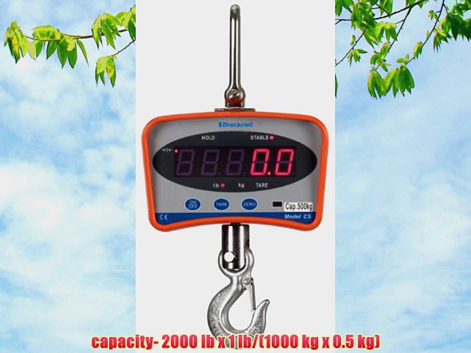 Digital Hanging Scale - 2000 lb. Capacity x 1 lb. Resolution