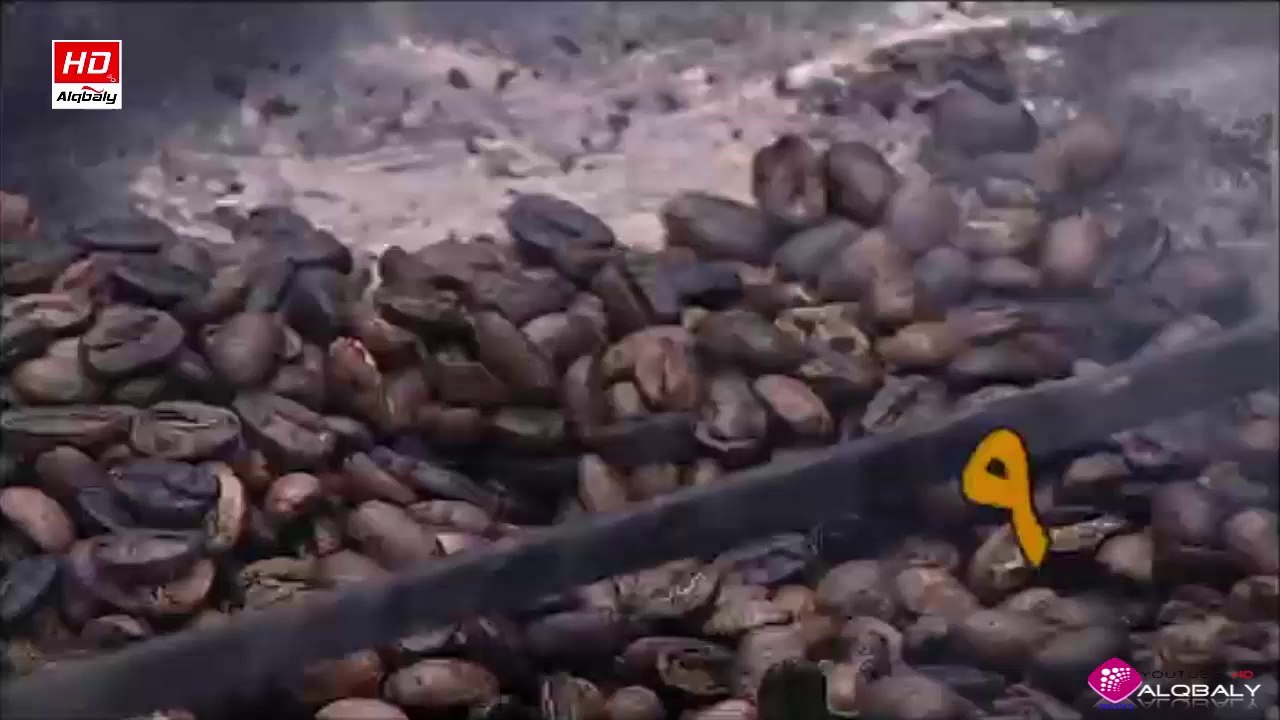 مسلسل اخر الفرسان الحلقة 9 جودة عالية