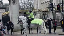 Nu, il s'échappe du Buckingham Palace par la fenêtre !