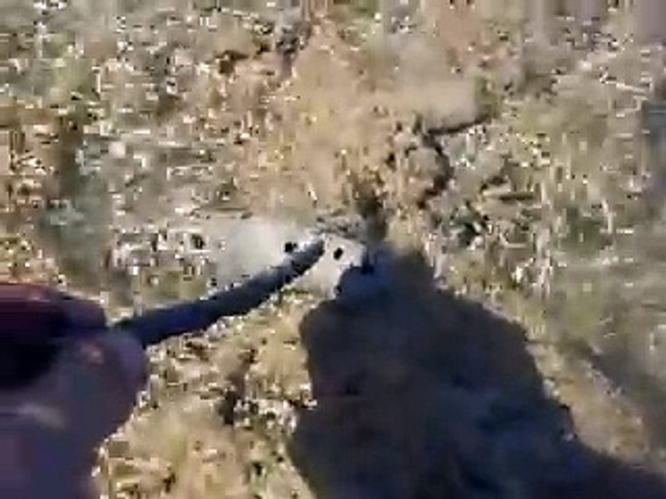 What's this!  The mysterious creature (video fish water marine deep sea pet beach)