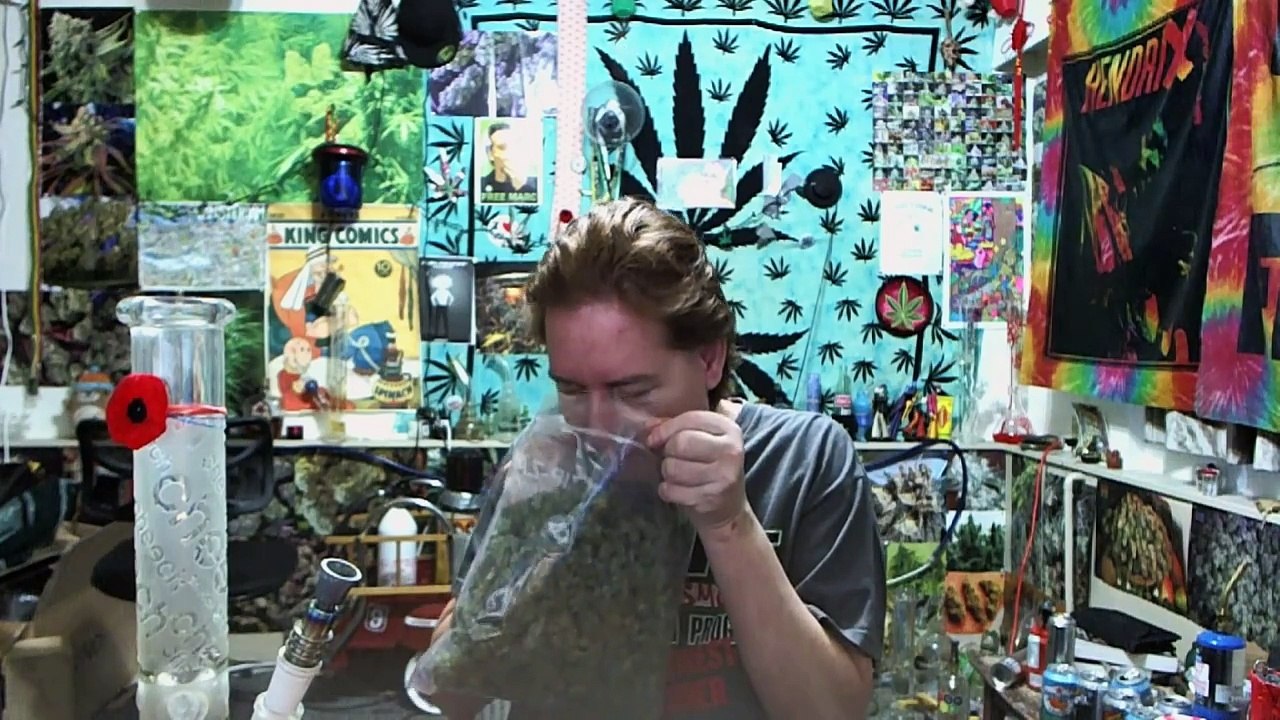 The Purple kush