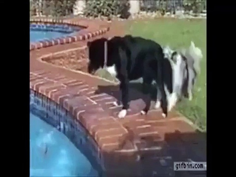 Teamwork !!!