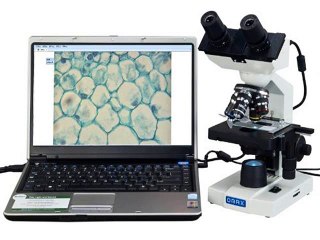 Top 5 Compound Microscopes to buy